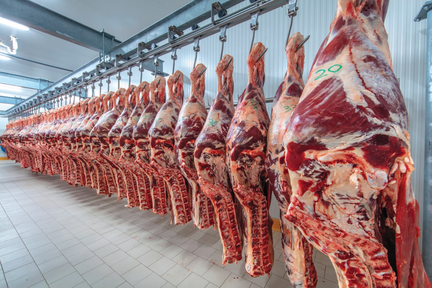 EXPORTAÇÕES DE CARNE BOVINA DE MATO GROSSO PARA OS ESTADOS UNIDOS CRESCEM MAIS DE 50% EM AGOSTO